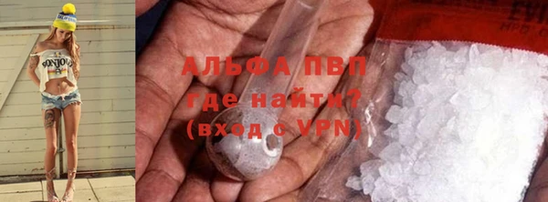 крисы Баксан