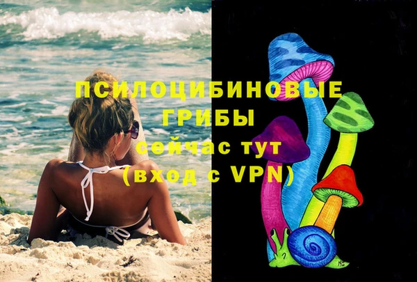 крисы Баксан