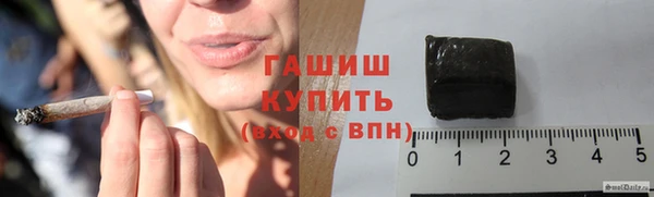 крисы Баксан