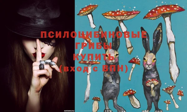 крисы Баксан