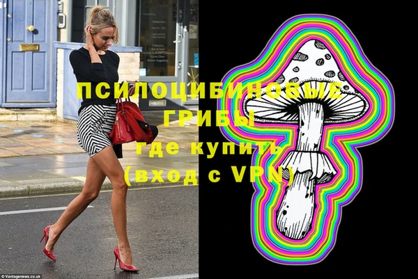 крисы Баксан